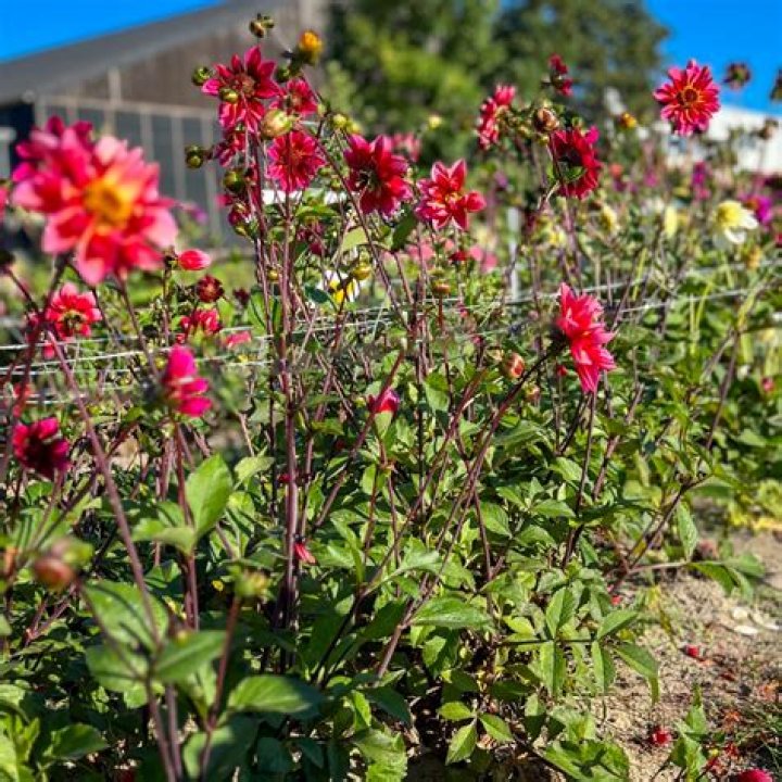 Devon & Princess Nadine Flirt At The Hospital – Hollywood Life